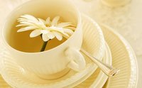茶文化专业解读