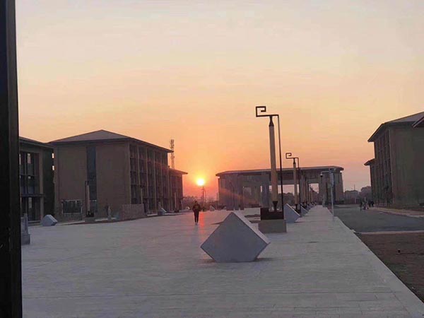 2021年初中毕业学什么专业好