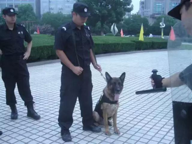 新余司法警官学校有什么好的专业