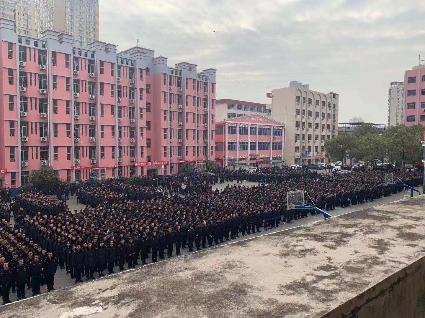 123.jpg