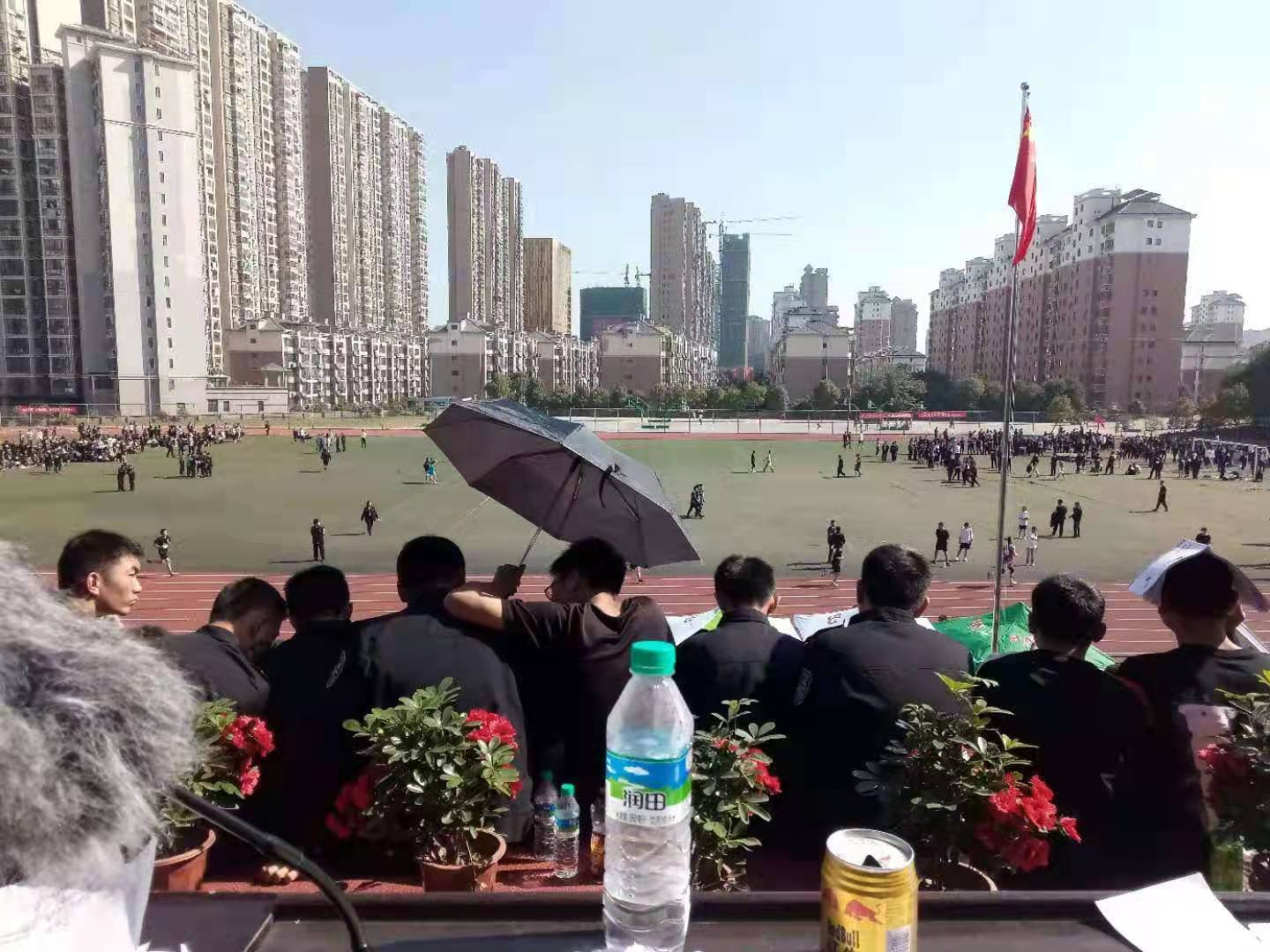 15.jpg