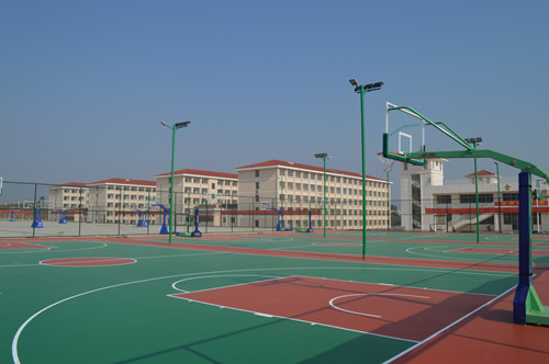 1611124718164021.jpg 31.jpg