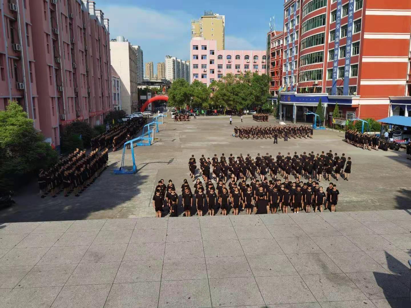 53.jpg