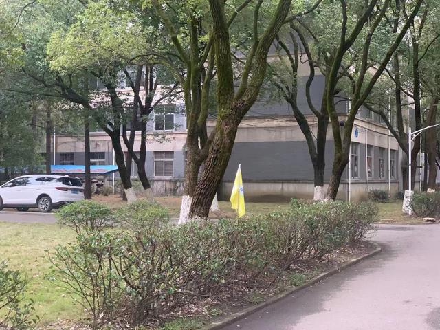 76_已压缩.jpg