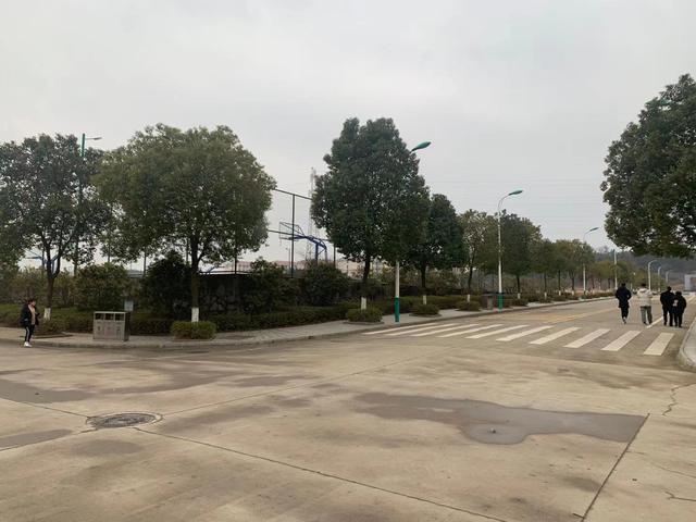 131.jpg