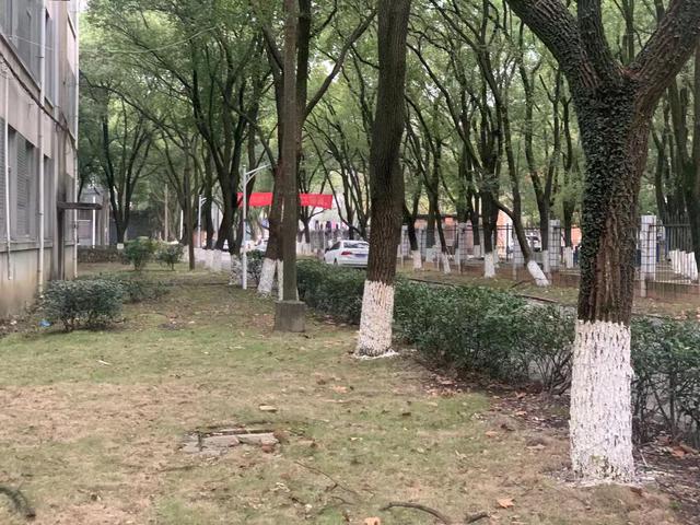 72.jpg