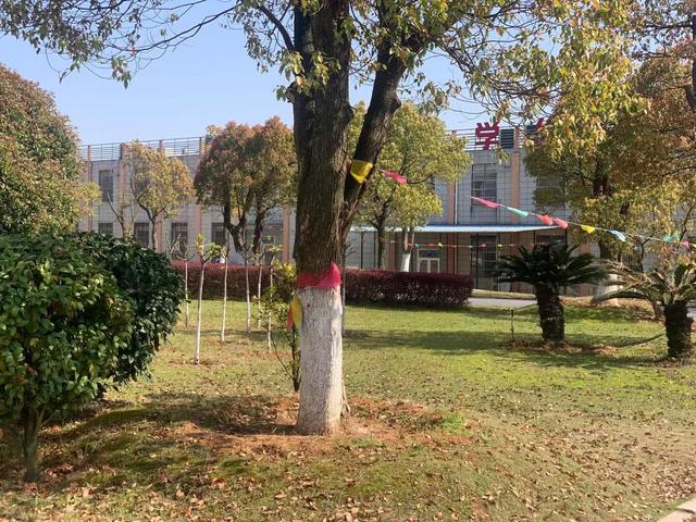 28_已压缩.jpg